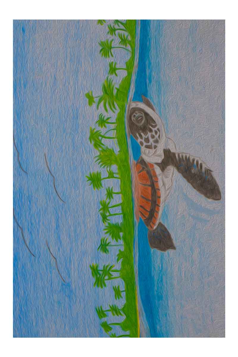 (3) 6"x4" What time is it? - Postcards - One-Sided - Full Color